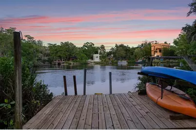 1502 E Park Circle, Tampa, FL 33610 - Photo 4