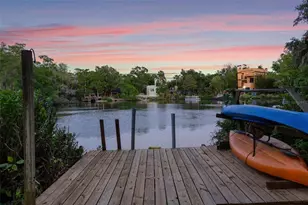 1502 E Park Cir, Tampa, FL 33610 - Photo 4