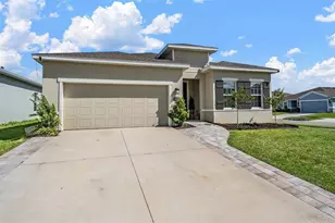 29345 Meadowcroft Ave, Wesley Chapel, FL 33544 - Photo 16