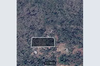 Dove Lane, Perry, FL 32348 - Photo 4