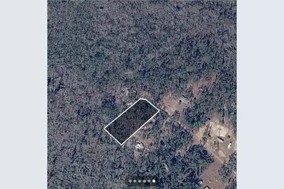 Dove Lane, Perry, FL 32348 - Photo 6