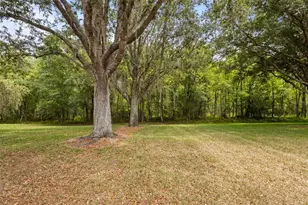 18543 Bittern Ave, Lutz, FL 33558 - Photo 22