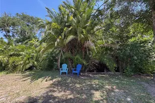 605 Michigan Blvd, Dunedin, FL 34698 - Photo 36