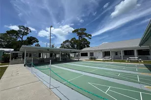605 Michigan Blvd, Dunedin, FL 34698 - Photo 40