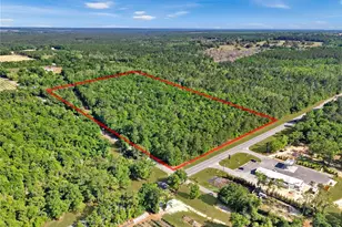 Neal Kennington/Hwy 87 N, Milton, FL 32570 - Photo 1
