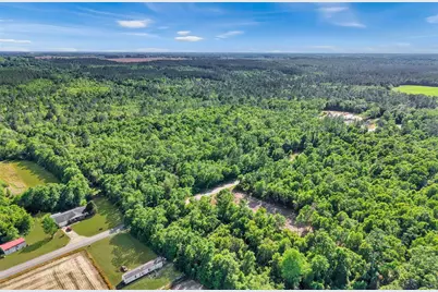 Neal Kennington/Hwy 87 N, Milton, FL 32570 - Photo 6