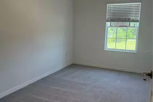 17586 Nectar Flume Dr, Land O Lakes, FL 34638 - Photo 30