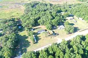 31326 Tyndall Rd, Wesley Chapel, FL 33545 - Photo 44