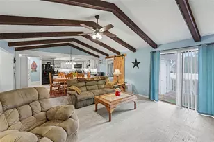 429 Manor Blvd, Palm Harbor, FL 34683 - Photo 4