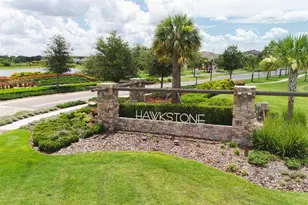 12952 Wellspring Dr, Lithia, FL 33547 - Photo 46
