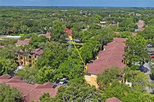 5618 Pinnacle Heights Cir, Tampa, FL 33624 - Photo 40