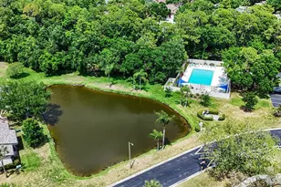 10 Lesley Ln, Oldsmar, FL 34677 - Photo 32