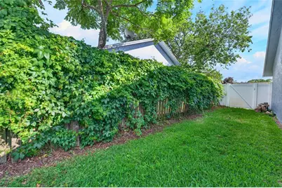 2817 Witley Avenue, Palm Harbor, FL 34685 - Photo 32