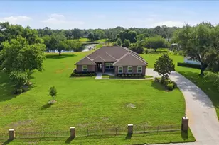 17825 Simms Rd, Odessa, FL 33556 - Photo 14