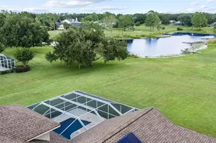 17825 Simms Rd, Odessa, FL 33556 - Photo 10