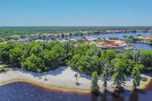 11027 Tahiti Isle Ln, Tampa, FL 33647 - Photo 58