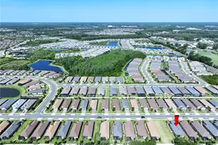 4610 Garofalo Rd, Wesley Chapel, FL 33543 - Photo 2