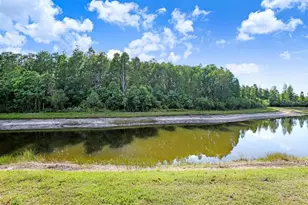 3915 Duke Firth St, Land O Lakes, FL 34638 - Photo 46