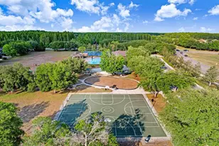 3915 Duke Firth St, Land O Lakes, FL 34638 - Photo 42