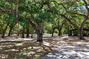 514 Tabor Ct, Safety Harbor, FL 34695 - Photo 46