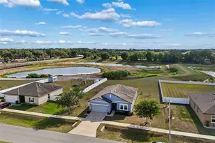 705 Garden Oaks Sq, Seffner, FL 33584 - Photo 76