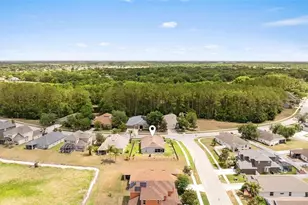 7619 Crescent Palm Dr, Wesley Chapel, FL 33545 - Photo 44
