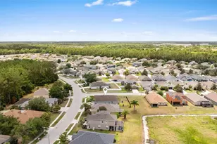 7619 Crescent Palm Dr, Wesley Chapel, FL 33545 - Photo 46