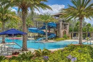 29527 Picana Ln, Wesley Chapel, FL 33543 - Photo 74