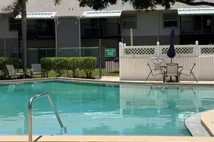3815 N Oak Dr, Tampa, FL 33611 - Photo 38