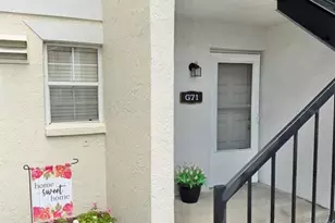3815 N Oak Dr, Tampa, FL 33611 - Photo 1