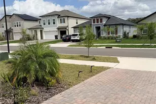 18378 Serene Lake Loop, Lutz, FL 33548 - Photo 28