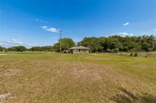 2413 Ed Brown Ln, Plant City, FL 33567 - Photo 36