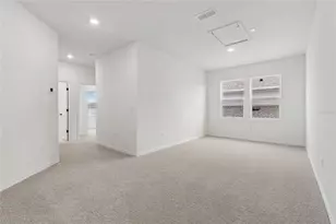 5249 Everlong Dr, Apollo Beach, FL 33572 - Photo 22