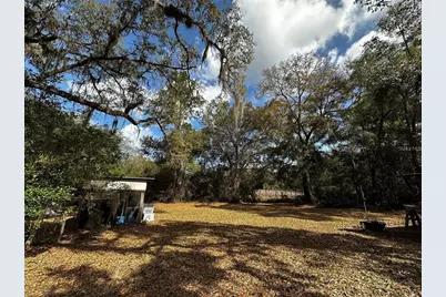 12212 NE 238th Terrace, Salt Springs, FL 32134 - Photo 14