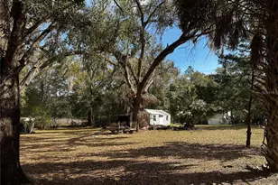 12212 NE 238 Terrace, Salt Springs, FL 32134 - Photo 20