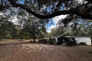 12212 NE 238 Terrace, Salt Springs, FL 32134 - Photo 1