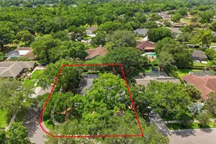 5046 Barrowe Dr, Tampa, FL 33624 - Photo 30