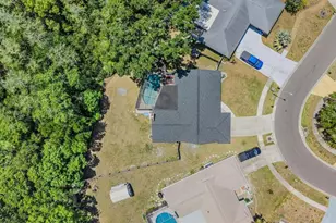 4218 Summerdale Dr, Tampa, FL 33624 - Photo 44