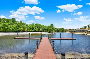 18019 Java Isle Dr, Tampa, FL 33647 - Photo 66