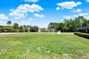 18019 Java Isle Dr, Tampa, FL 33647 - Photo 70