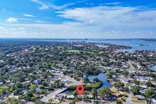 6650 Hibiscus Ave S, South Pasadena, FL 33707 - Photo 26