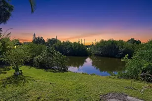 6650 Hibiscus Ave S, South Pasadena, FL 33707 - Photo 30
