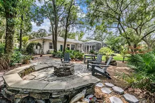 6004 Hammock Hill Ave, Lithia, FL 33547 - Photo 48