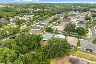 30709 Lanesborough Cir, Wesley Chapel, FL 33543 - Photo 52
