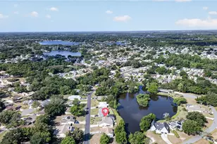 23311 Dover Dr, Land O Lakes, FL 34639 - Photo 48