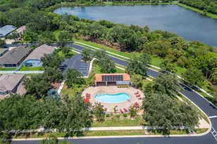 411 Durham Shore Ct, Apollo Beach, FL 33572 - Photo 8