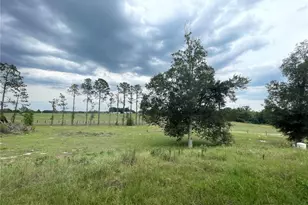 33740 Larkin Rd, Dade City, FL 33523 - Photo 34