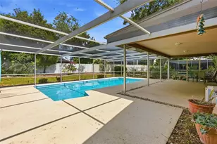 30 Turnstone Dr, Safety Harbor, FL 34695 - Photo 44