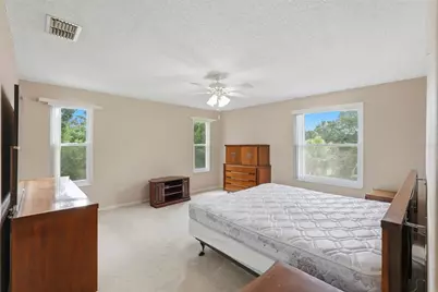 30 Turnstone Drive, Safety Harbor, FL 34695 - Photo 26