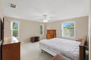 30 Turnstone Dr, Safety Harbor, FL 34695 - Photo 26